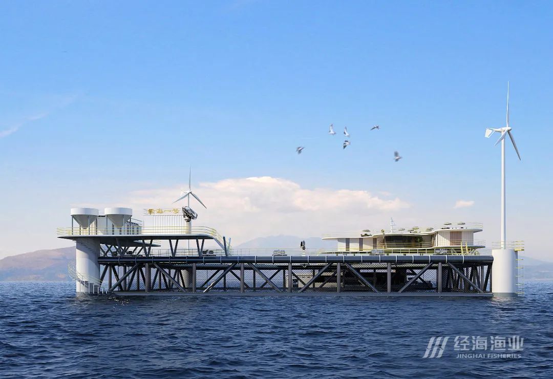 一條魚“游”出一條產業鏈——經海漁業百箱計劃掀起現代化漁業養殖變革