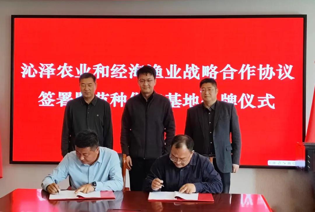 攜手共繪鮭鱒養(yǎng)殖新藍(lán)圖——煙臺經(jīng)海漁業(yè)與山西沁澤農(nóng)業(yè)戰(zhàn)略合作協(xié)議簽署及苗種供應(yīng)基地揭牌儀式圓滿舉行